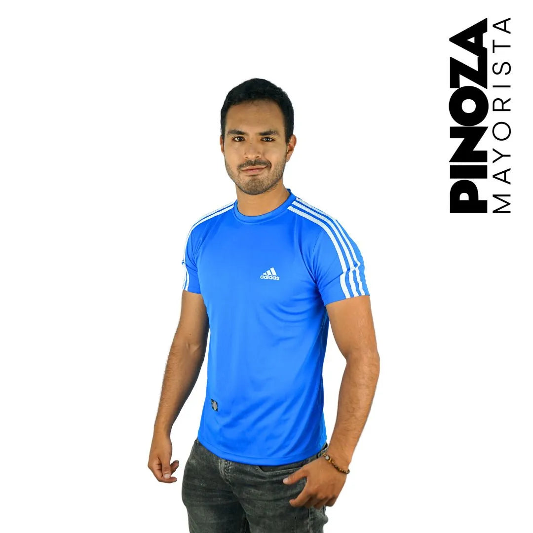 POLO WIN